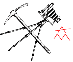 ANTHONY MOREL